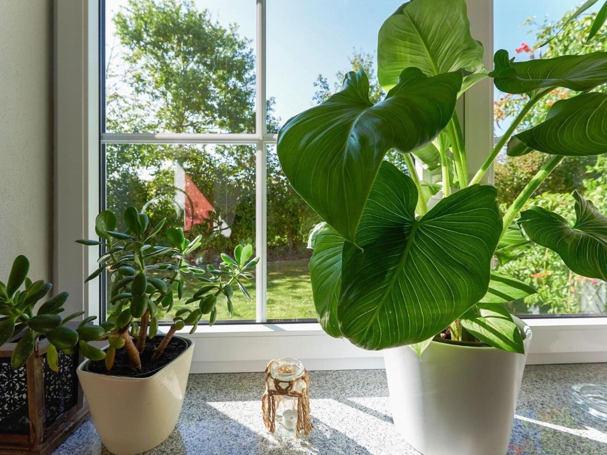 Nice Flat With Sauna Covered Terrace Garden And Tree House For Children Zandt Ngoại thất bức ảnh